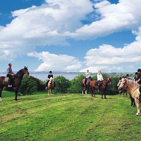 Ponyhof Naeve Am Wittensee Gross Wittensee Ngoại thất bức ảnh