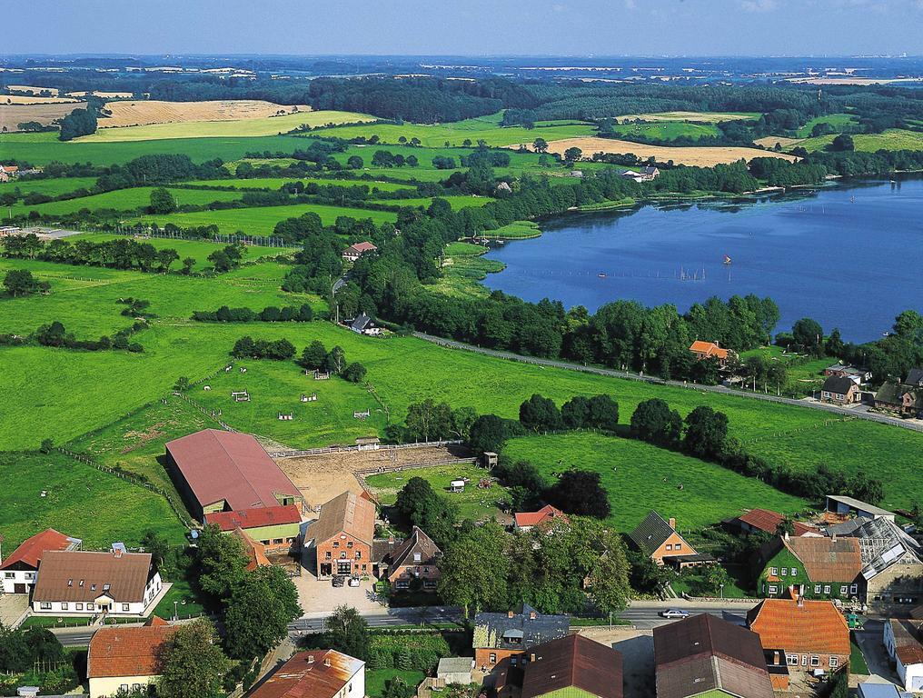 Ponyhof Naeve Am Wittensee Gross Wittensee Ngoại thất bức ảnh