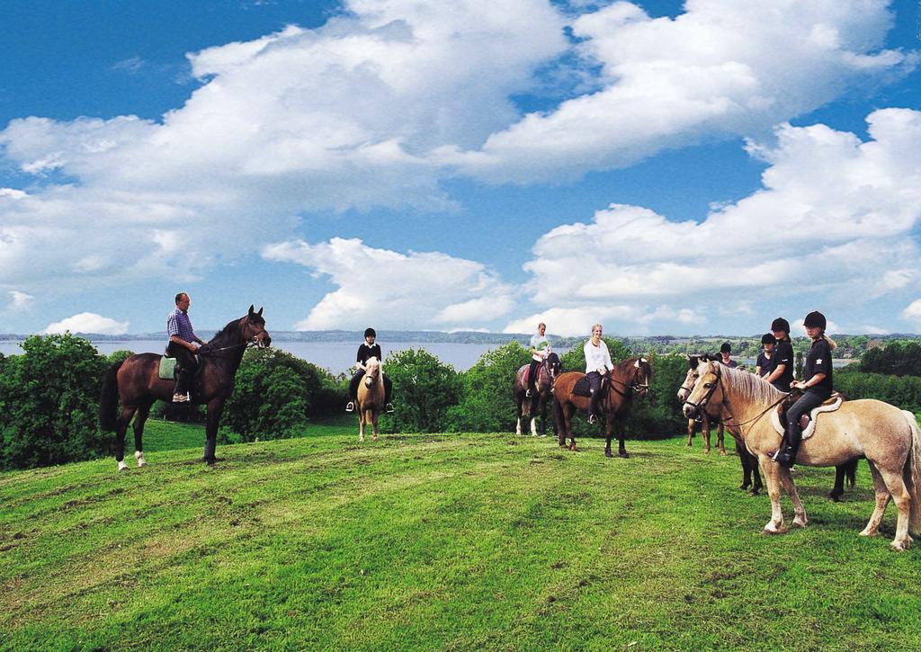 Ponyhof Naeve Am Wittensee Gross Wittensee Ngoại thất bức ảnh