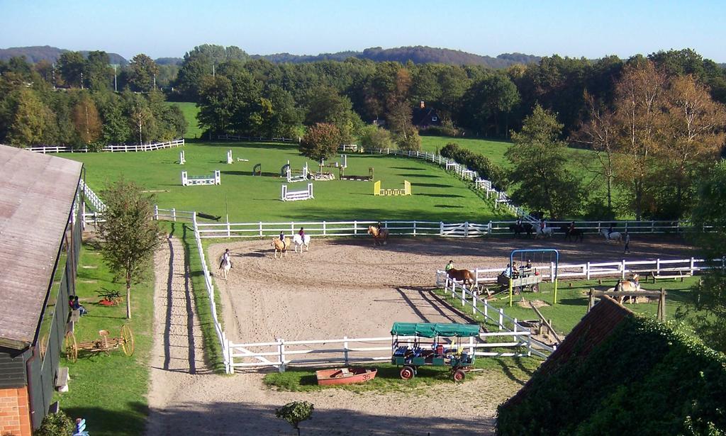 Ponyhof Naeve Am Wittensee Gross Wittensee Ngoại thất bức ảnh