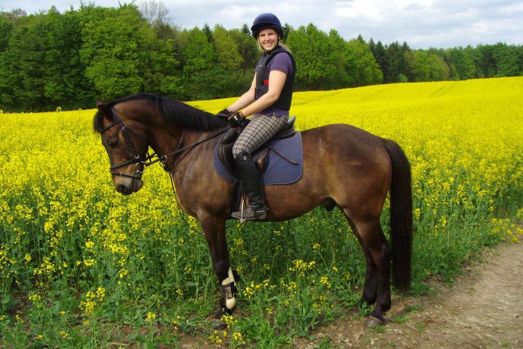 Ponyhof Naeve Am Wittensee Gross Wittensee Ngoại thất bức ảnh